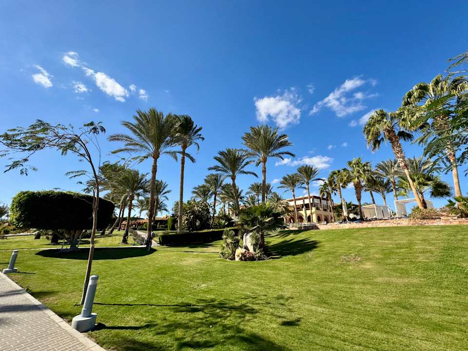 Gartenanlage Steigenberger Coraya Beach - Adults only