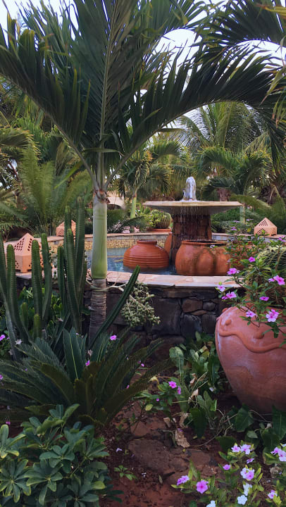 Eine kleine Oase in der Mitte der Anlage Hotel Riu Touareg