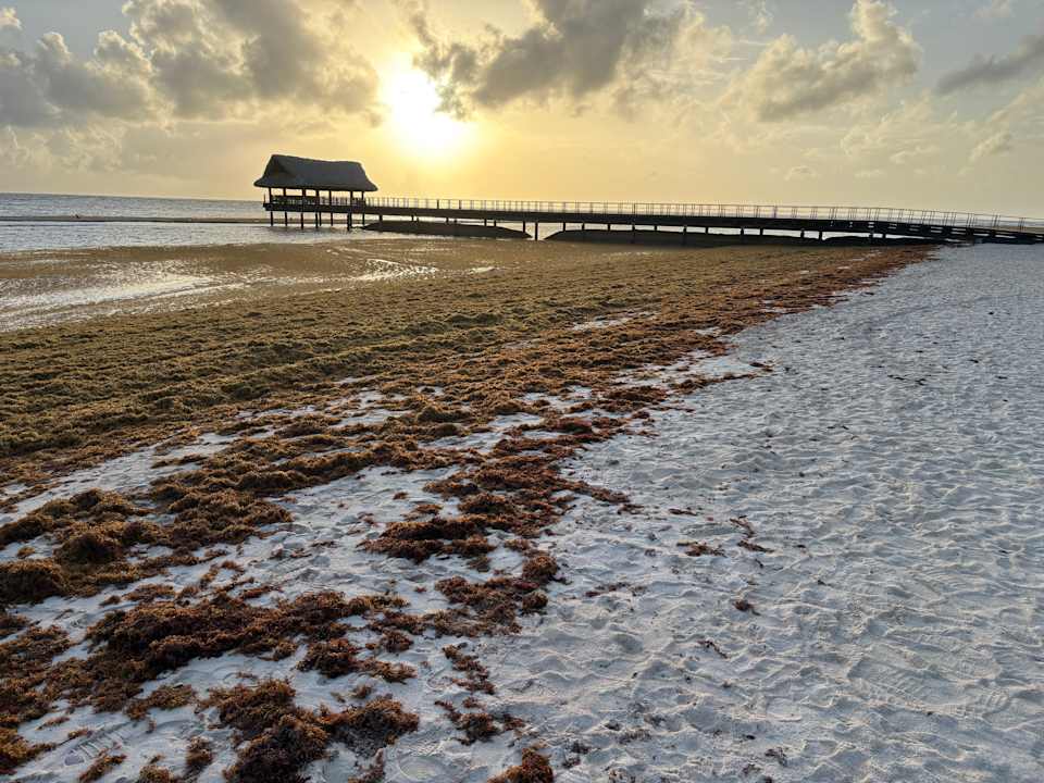 Pool Vista Sol Punta Cana