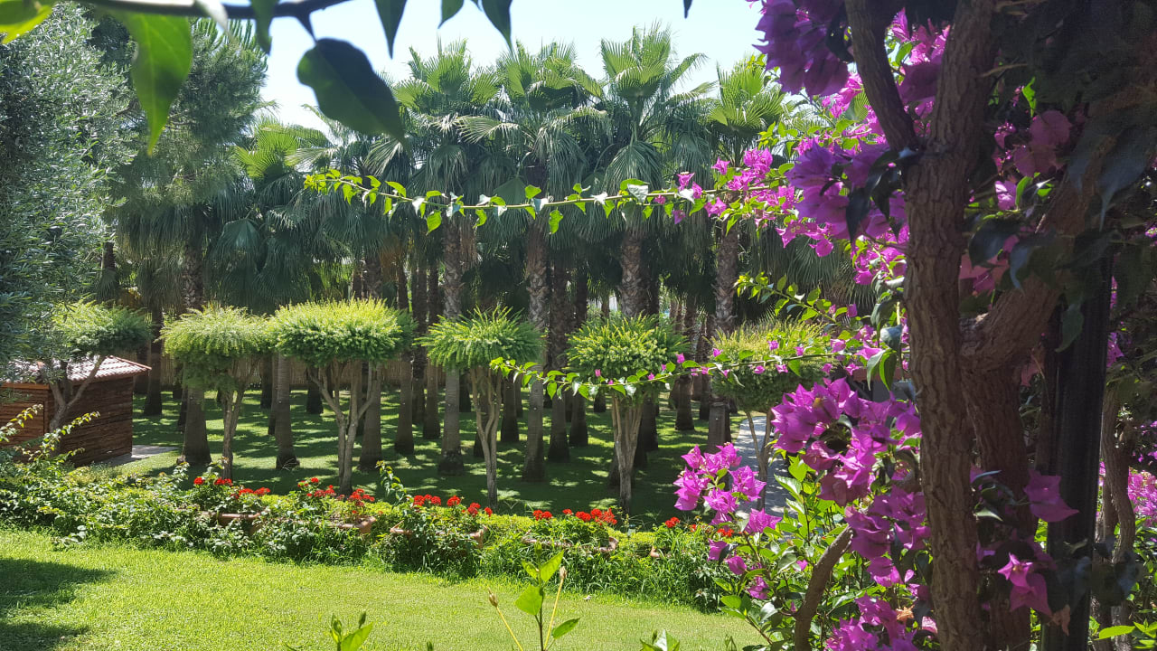 Gartenanlage Miramare Queen Hotel