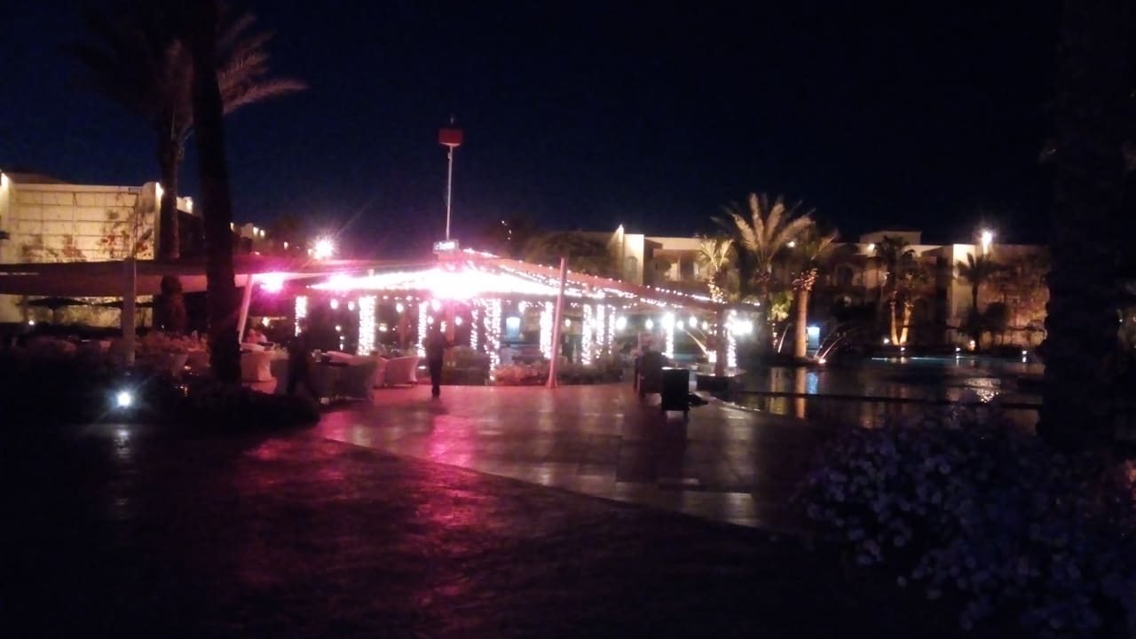 Ausblick Desert Rose