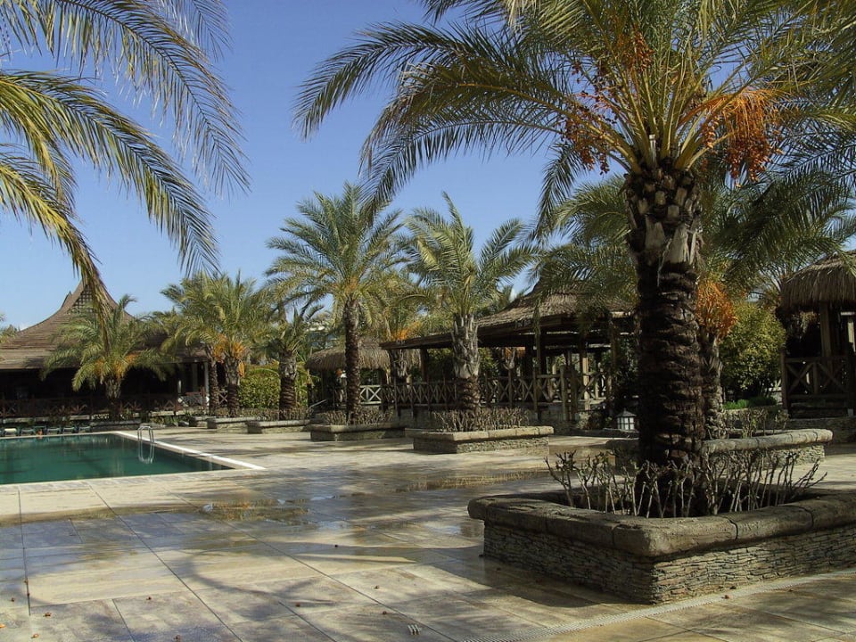 Gartenanlage Royal Wings Hotel