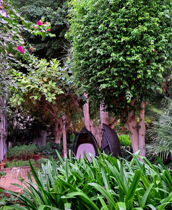 Gartenanlage Hotel Parque Tropical