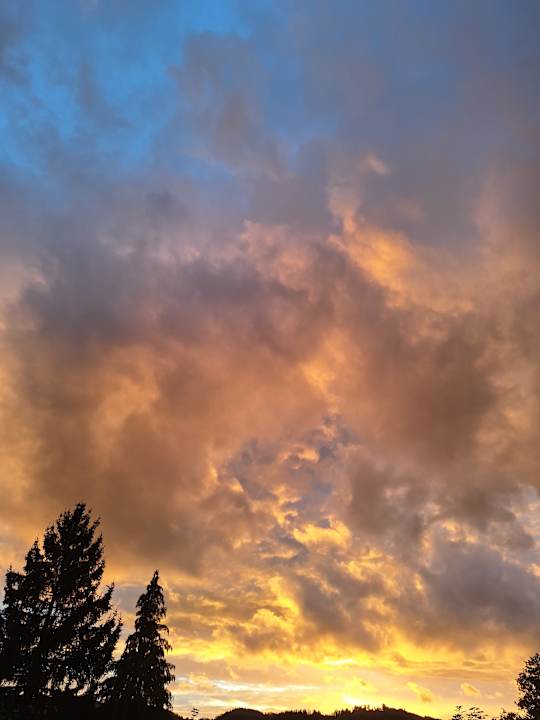 Ausblick Feriendorf am Hundsrück