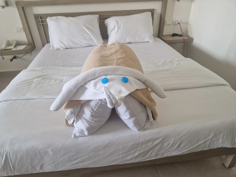 Zimmer Iberotel Casa Del Mar Resort