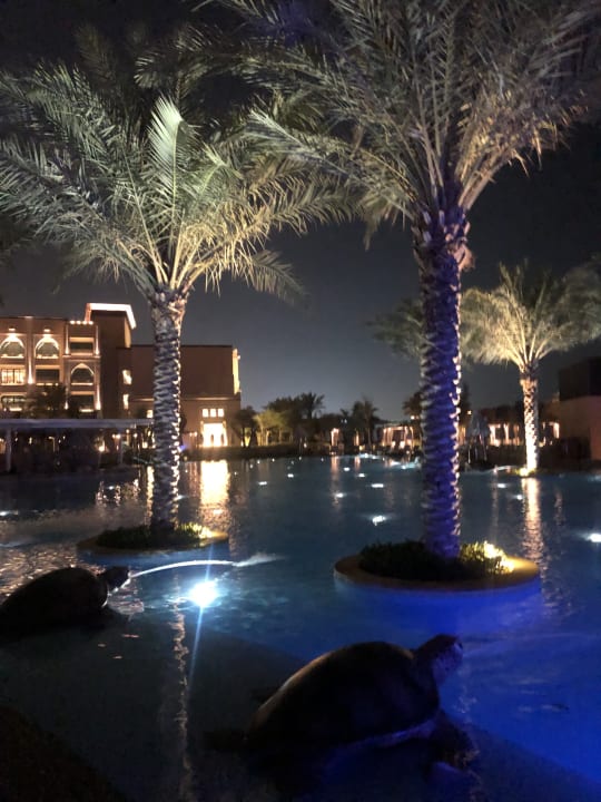 Pool Saadiyat Rotana Resort &  Villas