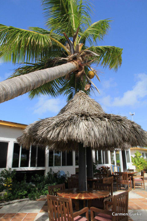 Bar  Hotel Stella Maris Resort