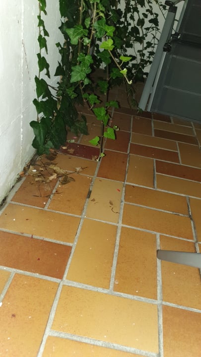 Zimmer Hotel Restaurant Amadeus