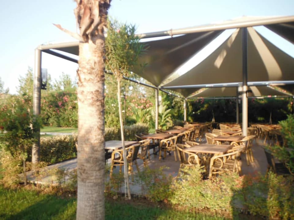 Royal Seginus Royal Seginus