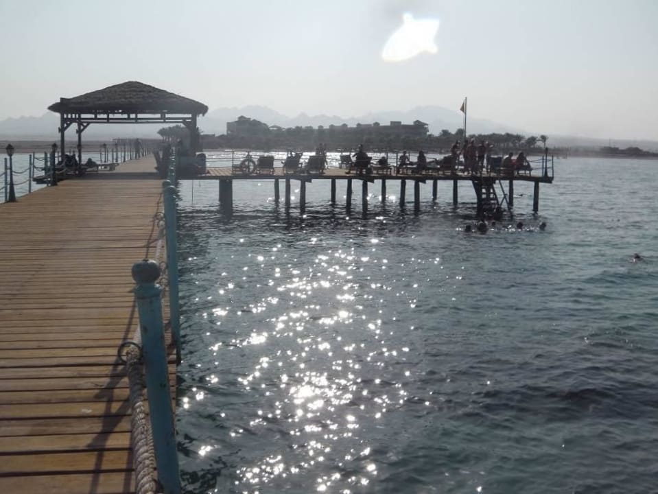 Sie trampeln auf Korallen  Amwaj Beach Club Abu Soma Resort