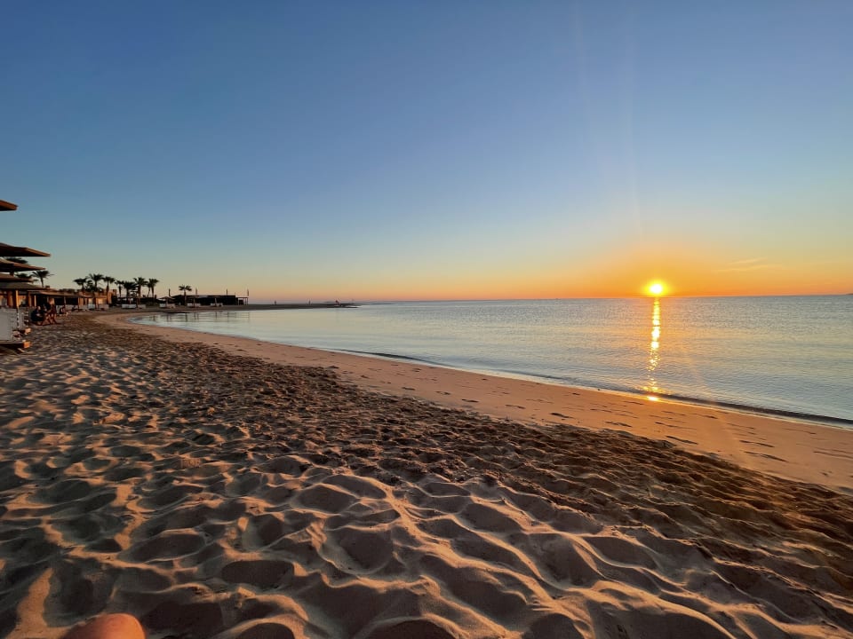 Strand Shams Prestige Abu Soma-Adults Only