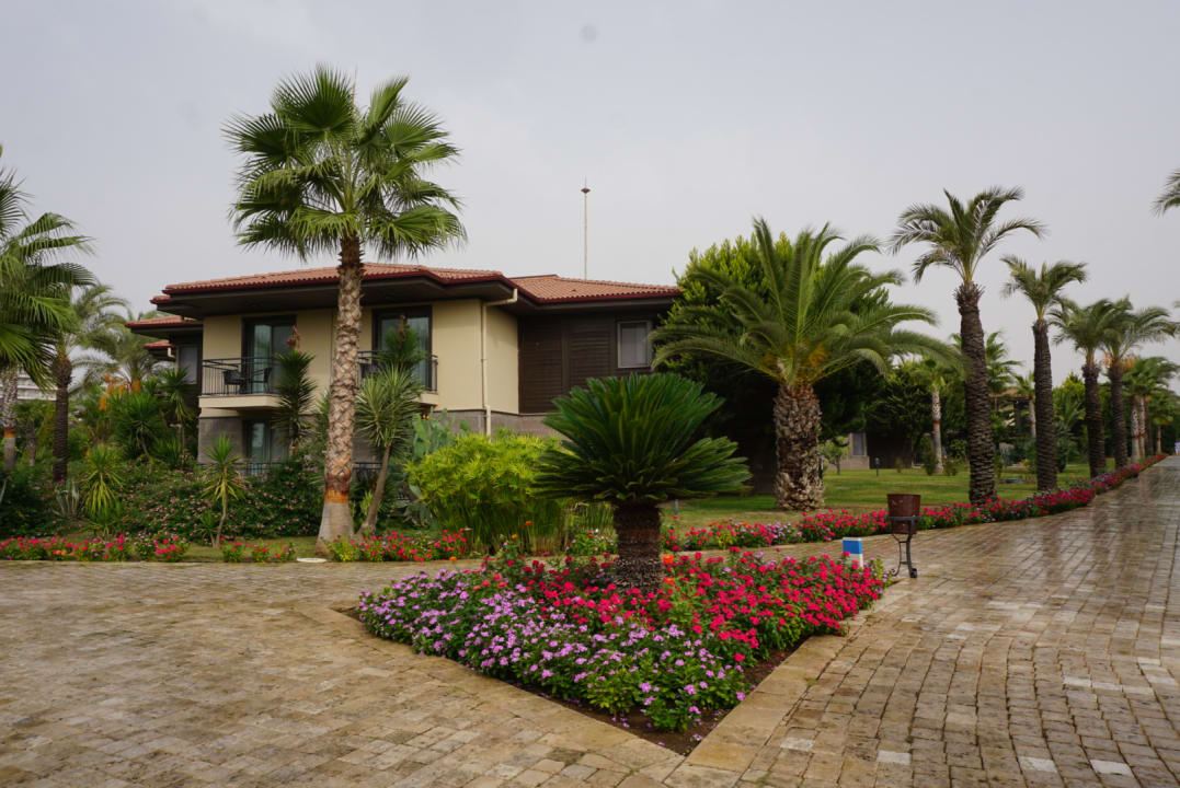 Gartenanlage TUI BLUE Palm Garden