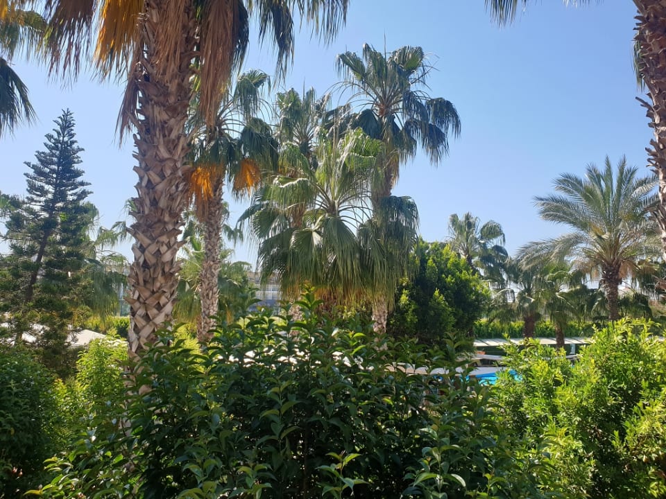 Gartenanlage Hane Family Resort