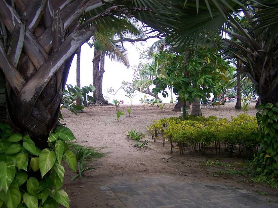 Blick zum Meer Playabachata Hotel