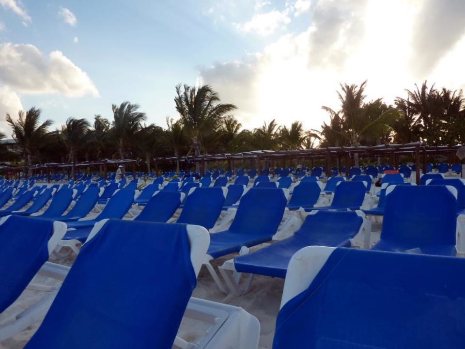 Strandliegen am Morgen Catalonia Playa Maroma