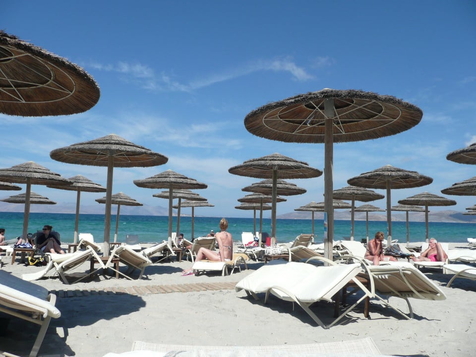 Nicht überlaufen TUI BLUE Palazzo del Mare