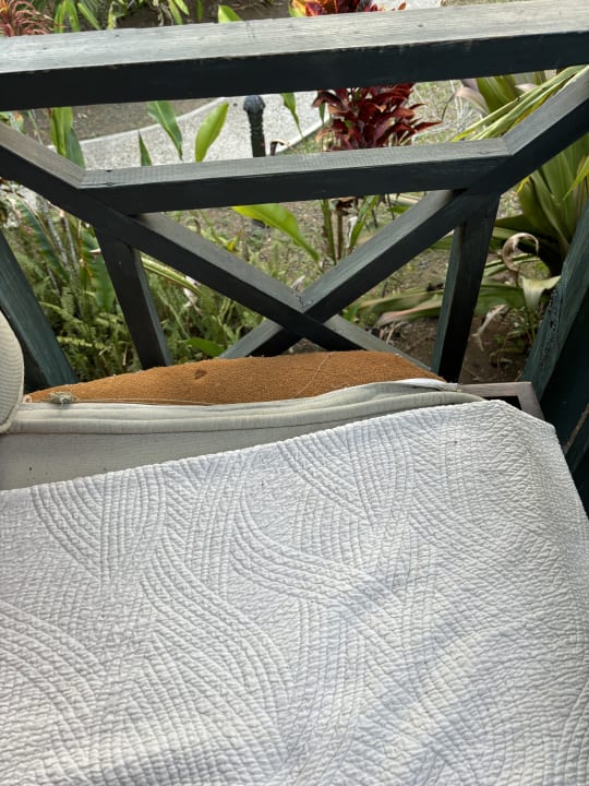 Zimmer Sunset at the Palms Resort - Adults Only