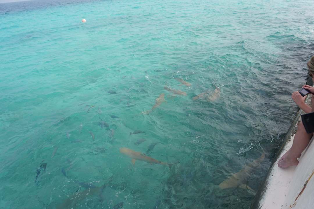 Strand Summer Island Maldives