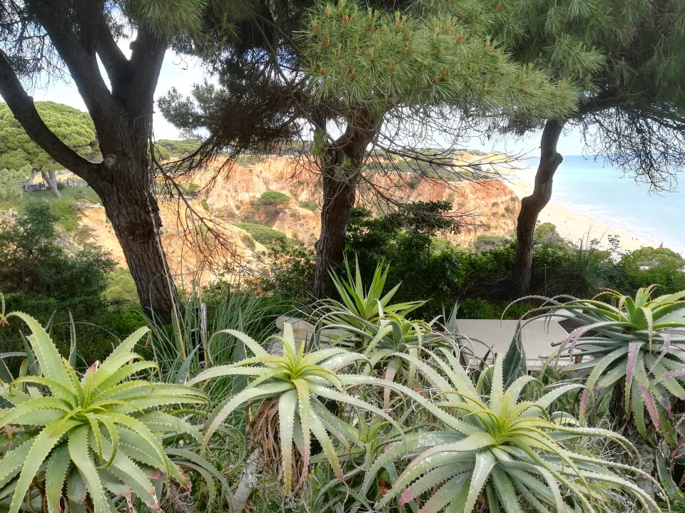 Ausblick PortoBay Falésia