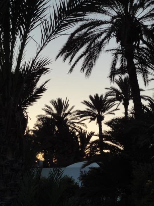 Garten Hotel Sangho Club Zarzis