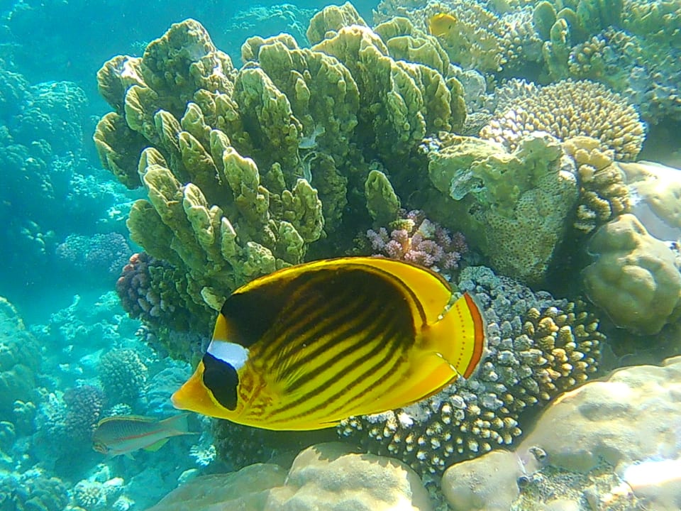 Sport & Freizeit Grand Makadi