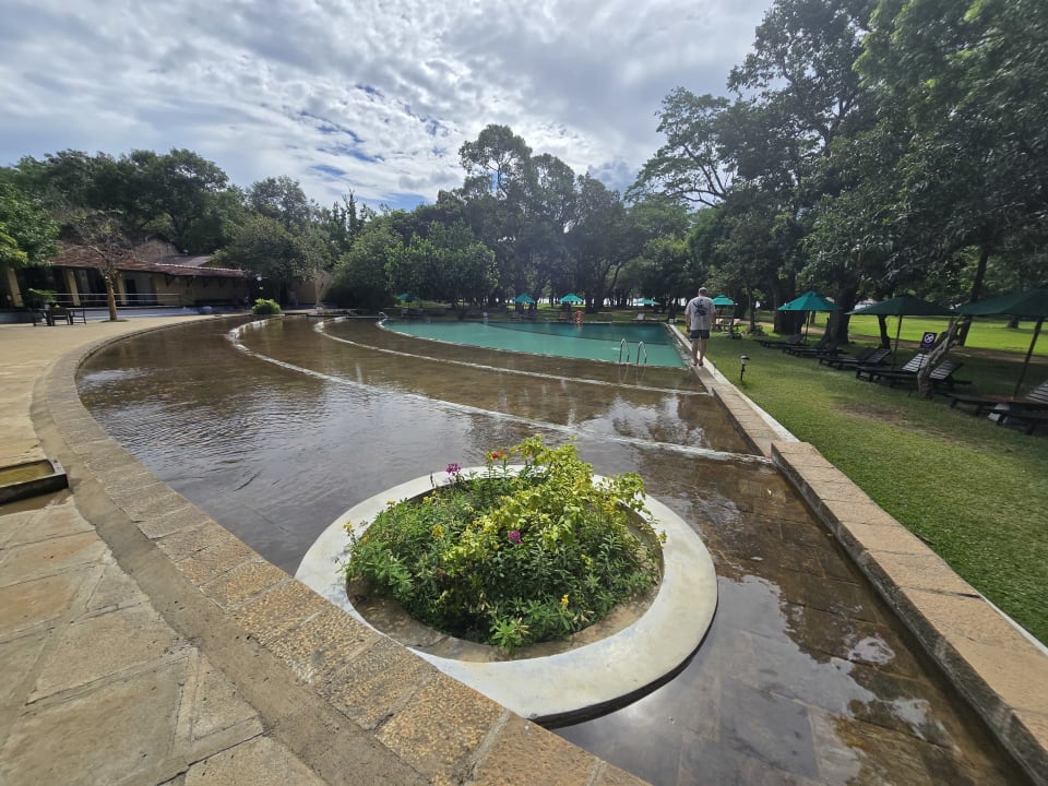 Pool Habarana Village by Cinnamon