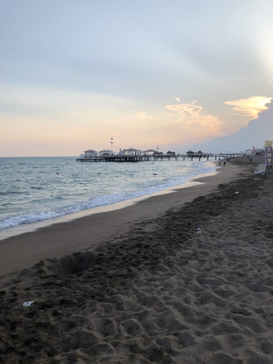 Strand Royal Seginus