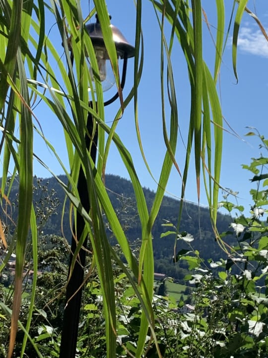 Gartenanlage Montara Suites Bodenmais