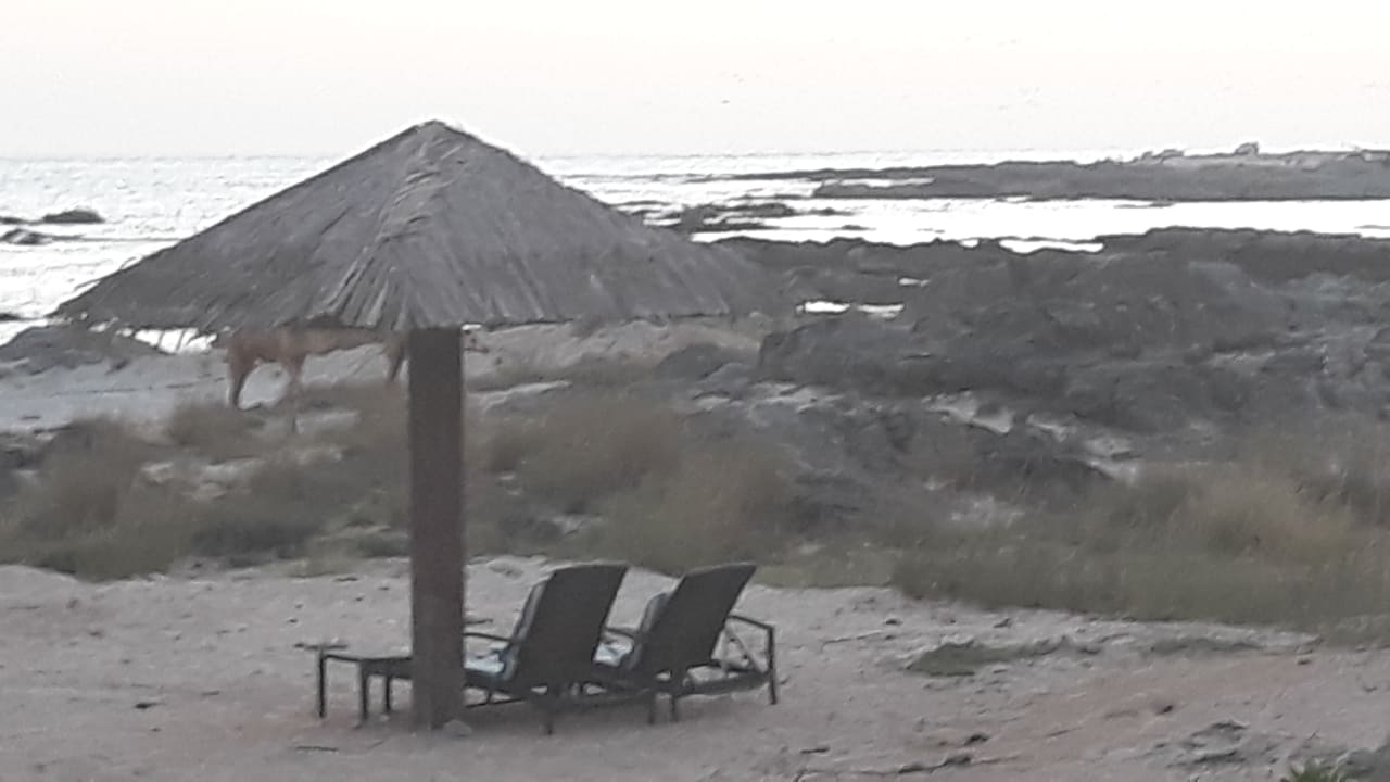 Strand Wyndham Garden Salalah Mirbat