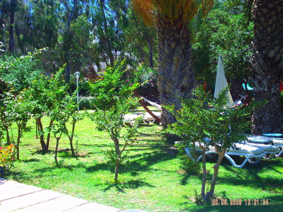 Wiese Asteria Collection Side