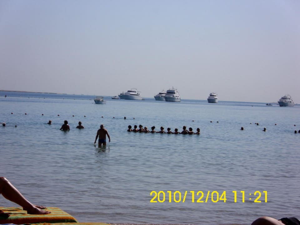 Wassergymnastik Giftun Azur Resort