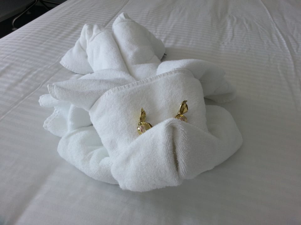 Jeden Tag etwas anderes  Iberostar Waves Bahia de Palma