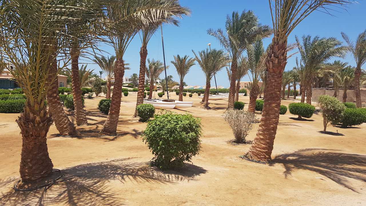 Gartenanlage Club Paradisio El Gouna, Red Sea