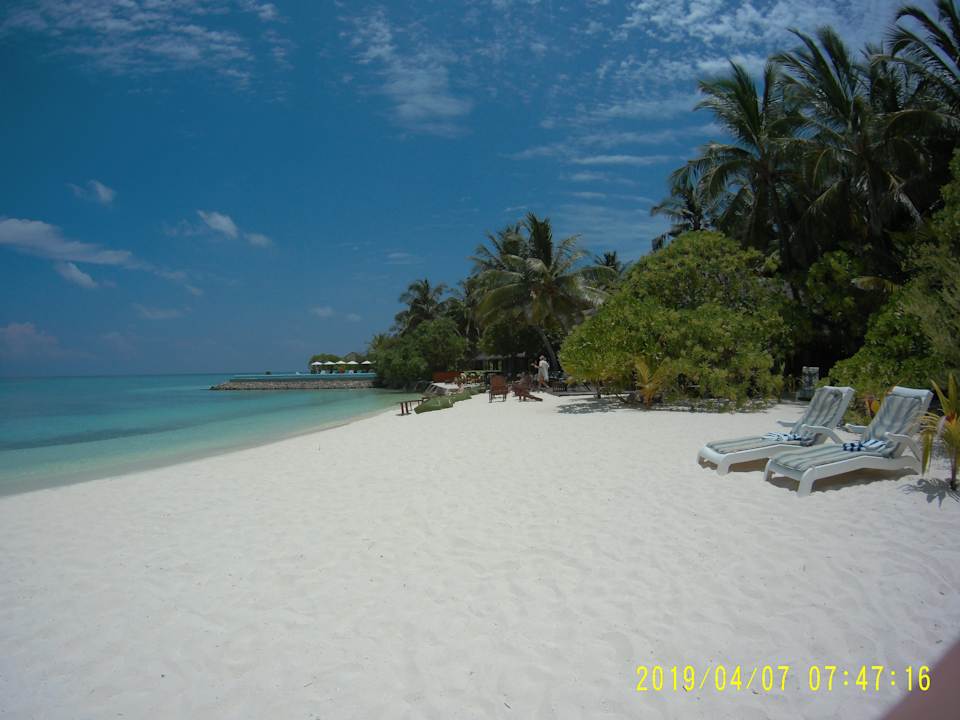 Strand Summer Island Maldives