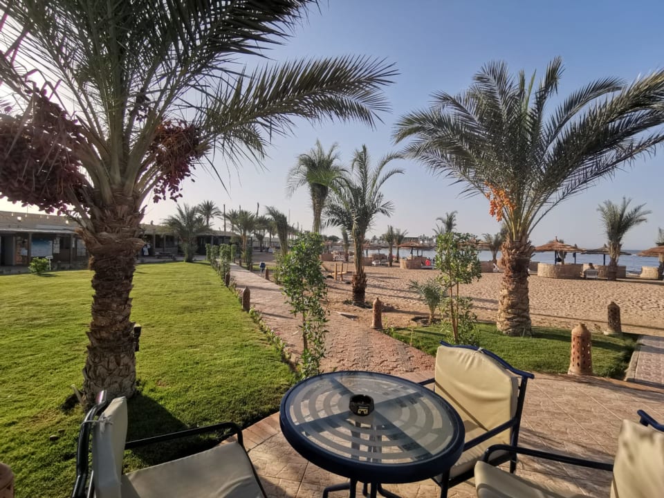 Gartenanlage Coral Sun Beach