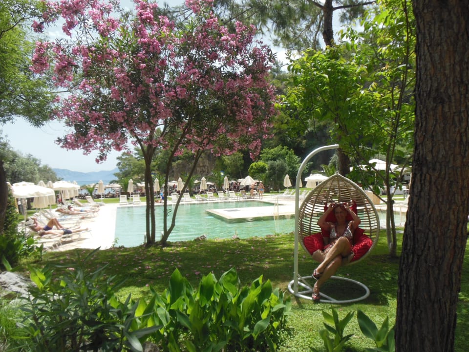 Pool TUI BLUE Seno - Adults Only