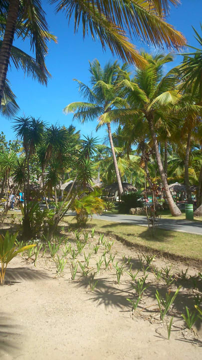 Spaziergang durch die Anlage Playabachata Hotel