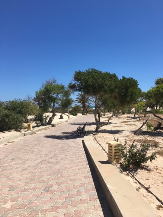Gartenanlage Djerba Plaza Thalasso & Spa