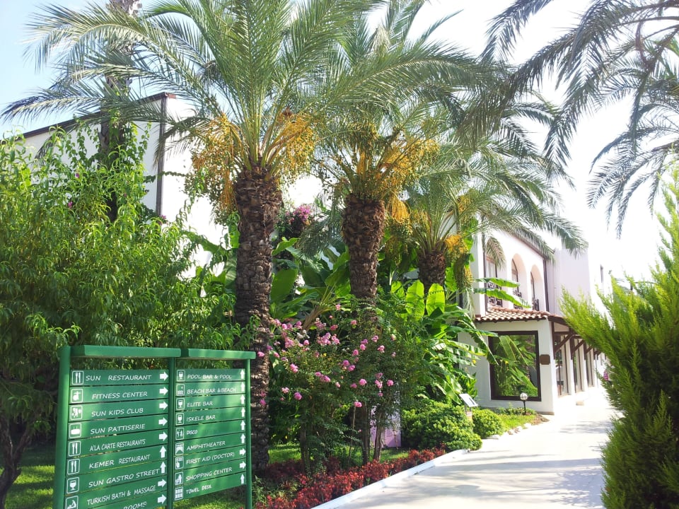 Vor Rezeption Emelda Sun Club