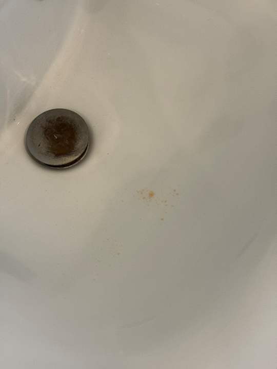 Zimmer Orchid Paradise Homes OPV 213