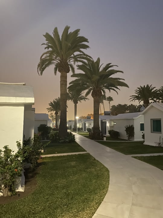 Außenansicht Canary Garden Club