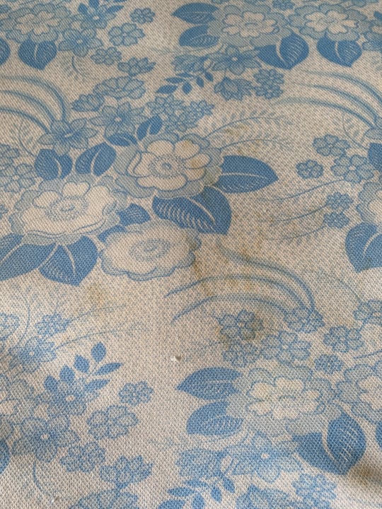 Zimmer htop Royal Star