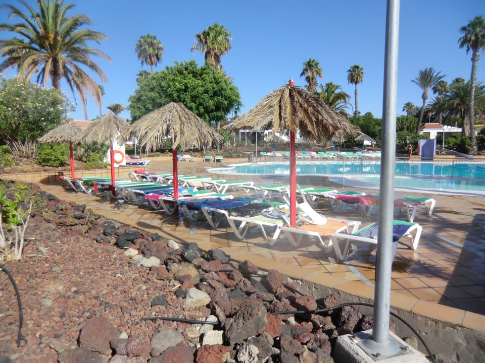 Pool Bungalows Las Vegas Golf