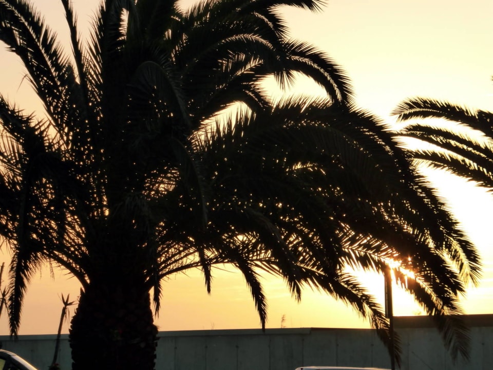 Abendstimmung allsun App.-Hotel Esquinzo Beach