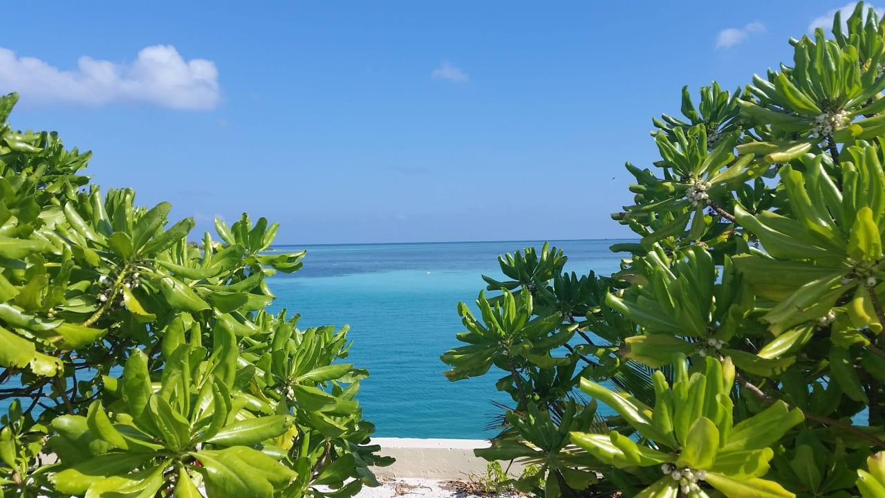 Nähe Bootsanleger und Beach Adaaran Select Hudhuran Fushi - Premium All Inclusive