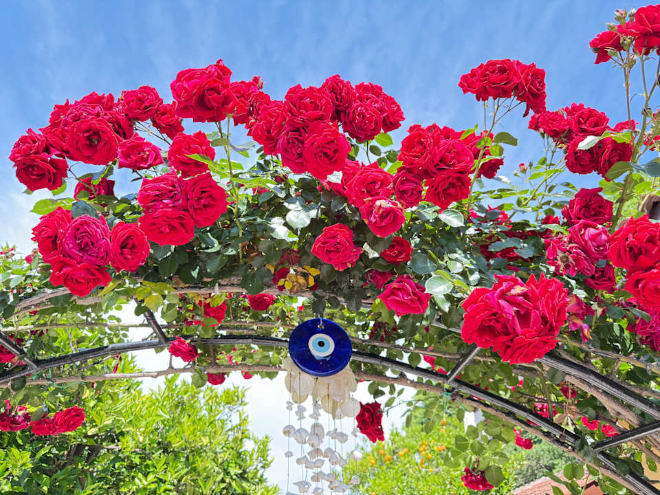 Gartenanlage Özlem Garden Hotel
