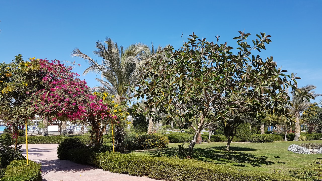 Gartenanlage Fantazia Resort Marsa Alam