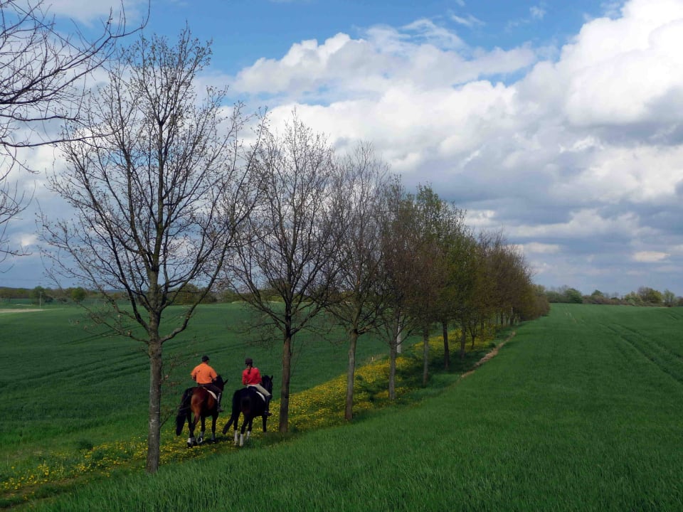 Ausreiten Ferien & Pferdehof Gut Klein Nienhagen
