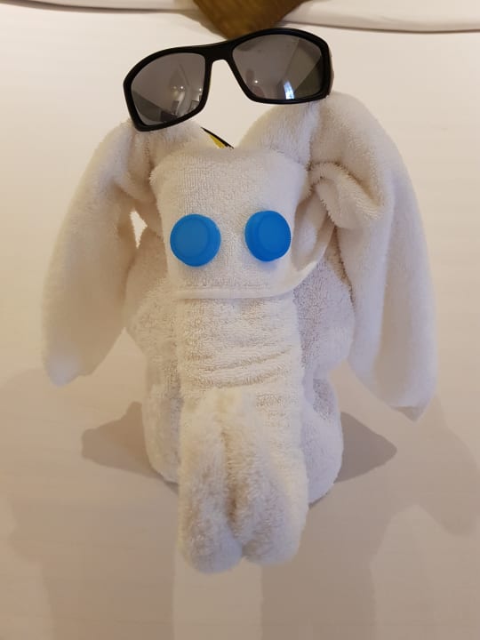 Zimmer Three Corners Sea Beach Resort