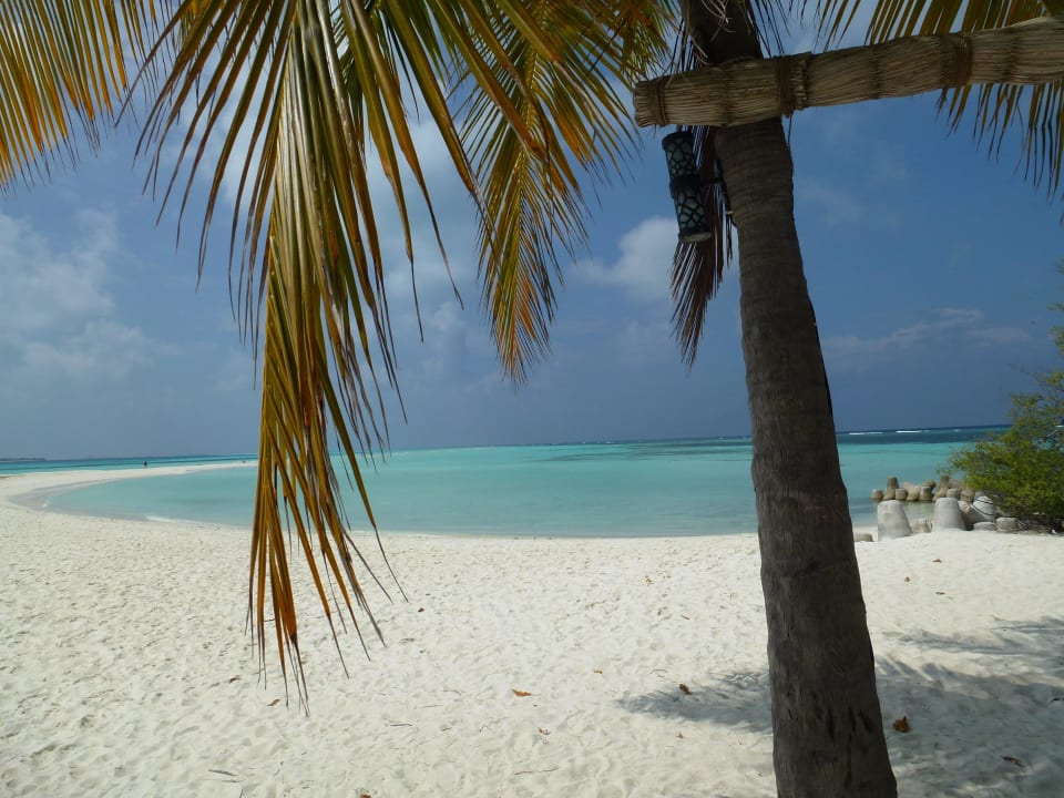 Strand an der Sandbank Kuredu Island Resort & Spa